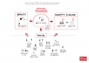 impact-gender-programmes